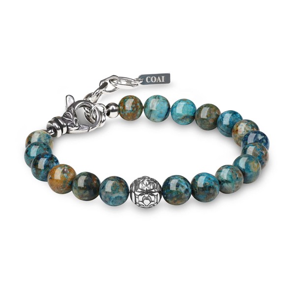 COAI Men's Gemstone Bracelet with Silver Charm Bracelets for Men,