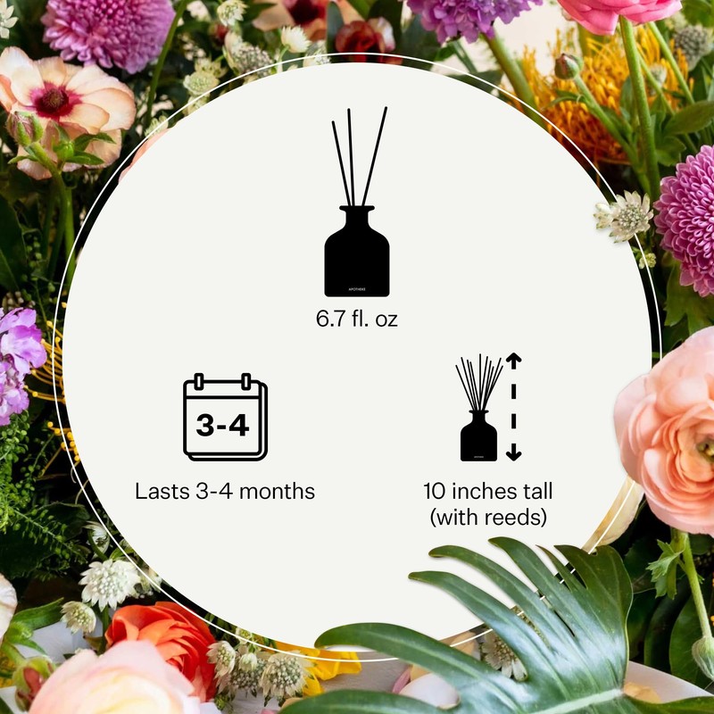 Apotheke Luxury Scented Reed Diffuser for Home, Charcoal - 6.7