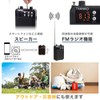 THANKO PRLU25SBK Multifunctional Portable Amplifier for On-site Recording and Playback,