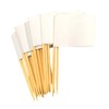 200Pcs Blank Toothpick Food Flags Simple Useful Cupcake Flags Disposable