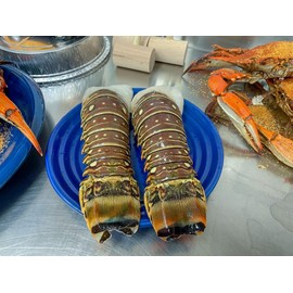 OCEAZEN Warm Water Lobster Tails – 5–6oz Each, 4 Tails – Premium Quality, Freshly Caught, Perfect for Gourmet Meals – Succulent Flavor & Tender Texture for Grilling, Baking, or Steaming