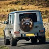 Funny Raccoon Spare Tire Cover Raccoon Wheel Protector for Truck