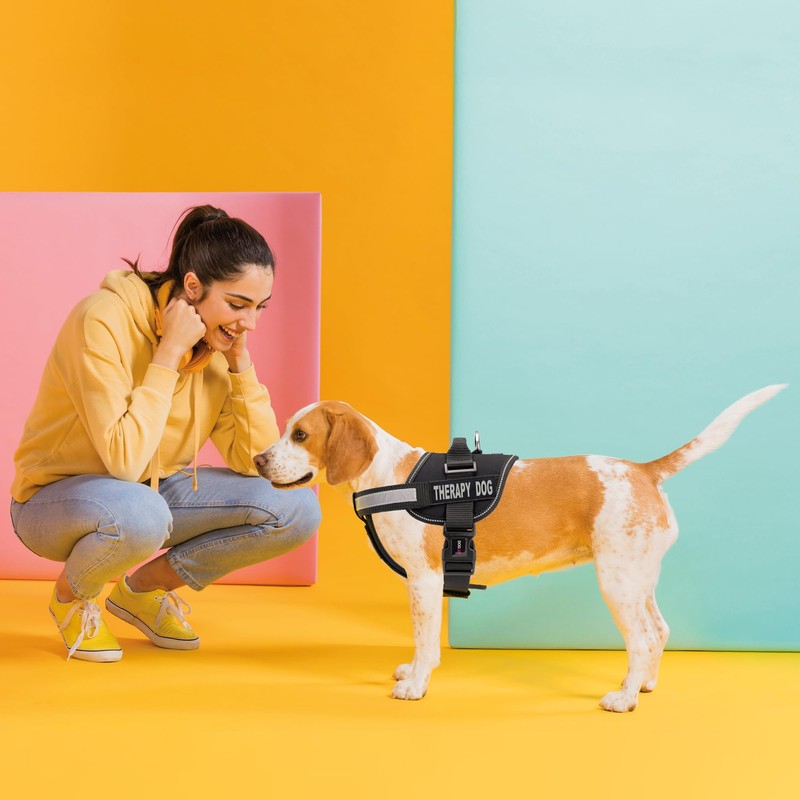Dogline Vest Harness for Dogs and 2 Removable Therapy Dog