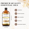 EUQEE Palo Santo Essential Oil 118mL Pure Palo Santo Oil