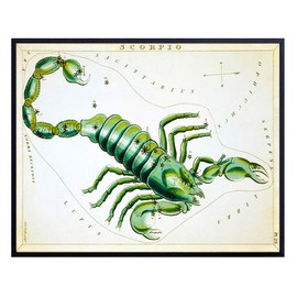 Vintage Scorpio Astrological Zodiac Chart - Great Gift and Chic Home Decor - Stars - Ready to Frame (8x10) Photo