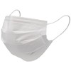 Utsunomiya Seisaku Singer Surgical Masks RE, White, 50-count RE3ELR-WB