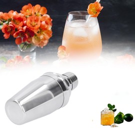 Gigicial 12 oz Cocktail Shaker set, stainless steel vacuum insulated margarita leak proof design with built in filter for mixed drinks