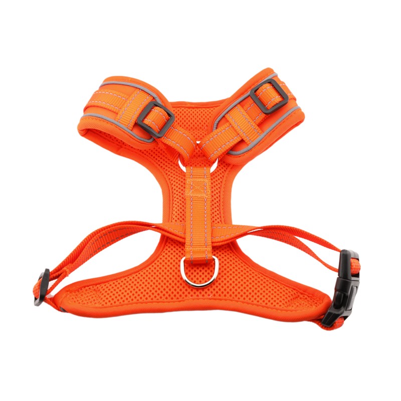 Doodlebone Adjustable Airmesh, Tangerine, 4-7