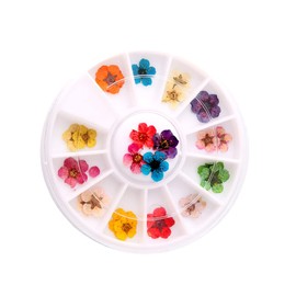 Healeved 1 Box Dried Flowers for Nail Art Artistic Dried Flowers Nail Art Supplies Nail Art Accessories Applique Five-Petal Dried Flowers 3D Nail Art 3D Dried Flowers