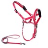 OHVEECA Dog Head Collar with Leash for Walking, No Pull