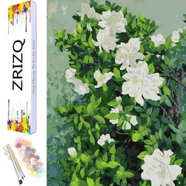 ZRIZQ Paint by Number for Adults Beginners,12" Wx16 L Canvas for Painting Kits for Adults in Colorful Box,Paint by Numbers for Home Wall Art Decor-Gardenia