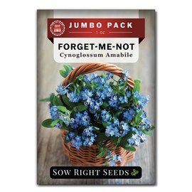 Sow Right Seeds - Bulk Forget-Me-Not Flower Seeds for Planting - 1 Ounce, 5300 Seeds - Non-GMO Heirloom Jumbo Pack with Instructions - Attract Butterflies - Grow Loads of Flowers for Pollinators…