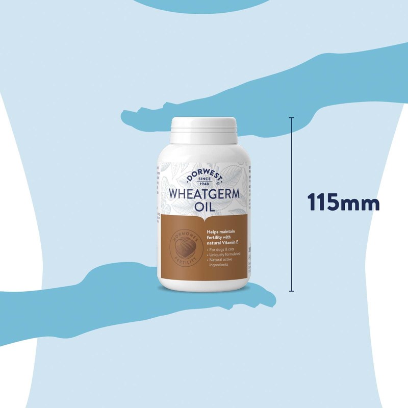 Dorwest Herbs Wheatgerm Oil Capsules for Dogs and Cats 200