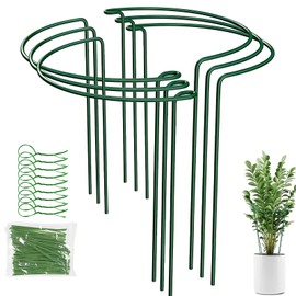 Tall Plant Support Stakes 6 Pack 10" W x 16" for Indoor and Outdoor, Peony Cages and Supports, Plant Cage Ring for Potted Flower, Rose Bush, Peony, Tomato, Hydrangea, Perfect for Flowers and Vegetable
