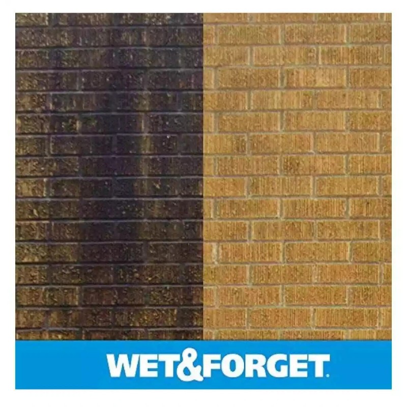 Wet & Forget Moss Mold Mildew Algae Stain Remover Multi-Surface