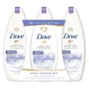 Dove winter care 24 fl oz. pack of 3