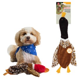 SPOT Skinneeez Crinklers Bird - Stuffing-Free Dog Toy with Crinkle & Squeaker Sounds, Durable for Light to Moderate Chewers, Tug Toy for Small Dogs & Puppies, 14in