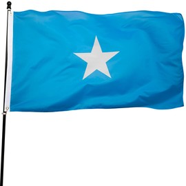 DANF Bandera de Somalia de poliéster de 3 x 5 pies de grosor, resistente a la decoloración, ojales de latón, cabecera de lona banderas nacionales somalíes con 3 x 5 pies