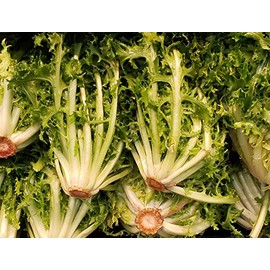 Endive Seeds “Salad King” - Bolt, Heat, and Frost Resistant Leaf Chicory aka Puntarelle | Cichorium endivia | Heirloom Seeds by Liliana's Garden |