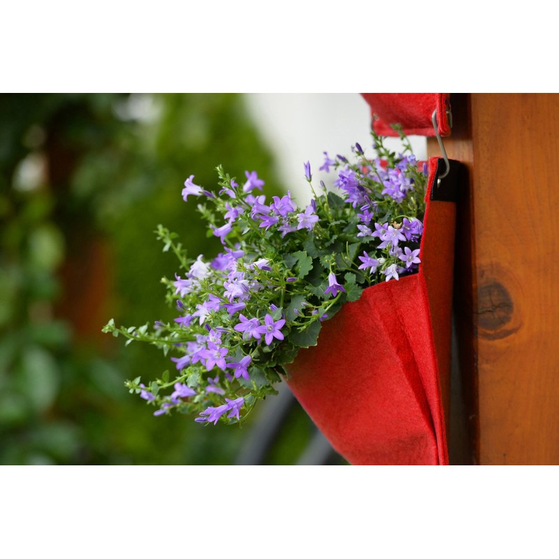 Takasho Felt Herb Pot, Red, Set of 3