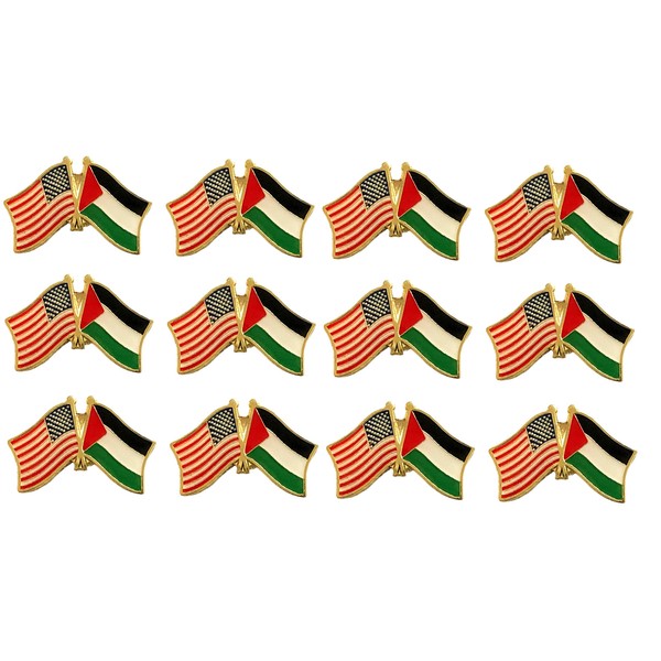 Box of 12 Palestine & US Crossed Double Flag Lapel
