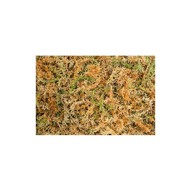 Sphagnum Moss 40 Liters New Zealand Grade AA Great for