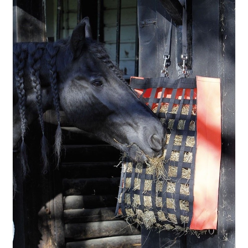 Epplejeck Harry's Horse 36000705 09 Heutasche Adagio (Green)