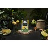 Ahmad Tea Black Tea, Lemon & Lime Twist Teabags, 20