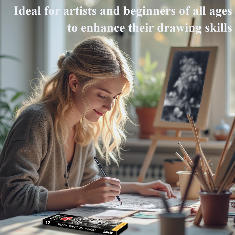 Aenir Charcoal Pencils for drawing, Set of 12, Charcoal Drawing