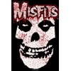 Misfits (Skull, Splatter) Music Poster Print by Wall Posters