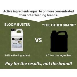 Bloom Buster Pond Algae Control - 64oz - Fast Acting Algaecide, Use in Fountains & Outdoor Ponds Containing Koi & Other Fish - EPA Registered