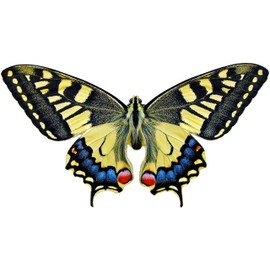 Swallowtail Butterfly Decal - 6" wingspan