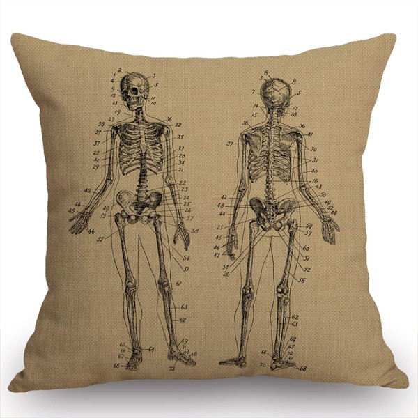 Swono Human Skeleton Throw Pillow Cover Human Anatomy Farmhouse Cushion