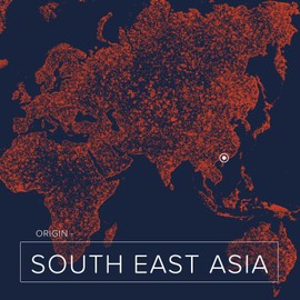 Naissance Refined Coconut Oil Organic (No. 227) - 250 g - Pure, Natural, Organic, Cruelty Free, Vegan - Moisturising and Moisturising - Ideal for Aromatherapy, Skin Care, Hair Care