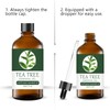 Organic Tea Essential Oils Aromatherapy 1 Fl Oz 100% Pure