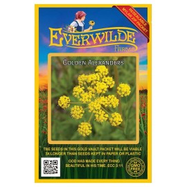 EVERWILDE FARMS 500 Golden Alexanders Wildflower Seeds - Everwilde Farms Mylar Seed Packet