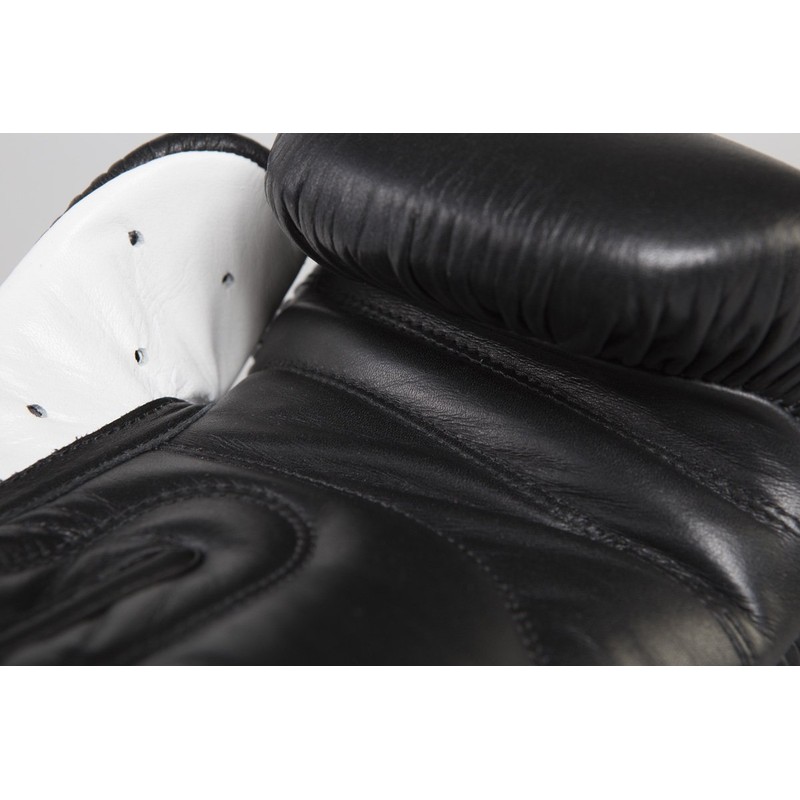 Paffen Sportstar Iii For Sparring Boxing Gloves, black