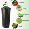 Nuenen Tall Tree Pot, Plastic Deep Nursery Pots