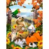 ROYAL BRUSH Junior Small Paint by Number Kit 8-3/4"X11-3/4-Autumn Festival