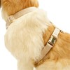 Nylon No Pull Dog Harness with Gold Metal Buckles,Easy Walking