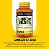 MASON NATURAL Ginkgo Biloba, 3 Month Supply, Helps to Improve
