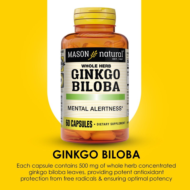 MASON NATURAL Ginkgo Biloba, 3 Month Supply, Helps to Improve