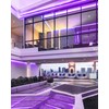 YM E-Bright Purple Led Neon Strip Light Without Power Supply,