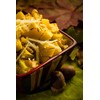 TomorrowSeeds - Green Striped Cushaw Seeds - 60+ Count -