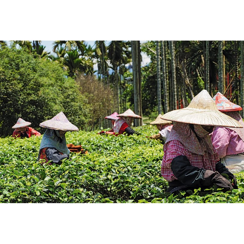 Black Tea · Yunnan Pu-Erh · China · Red Tea
