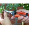 Garten Primus 01040 Garden Shears, Rose Shears, Vine Shears, Florist