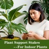 Monstera Plant Support Stakes, 8 Pack Stackable Garden Trellis Climbing