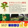 Ginseng with Carrot Fruit, Supplement, Vegetable Carrots, Calcium, Rutin, Gimnema,