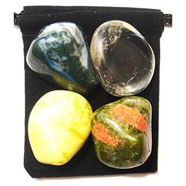 The Magic Is In You Physical Recovery Tumbled Crystal Healing Set with Pouch & Description Card - Clear Quartz, Moss Agate, Serpentine, and Unakite