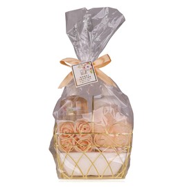 Accentra Honey Jasmine Women's Shower Set in Beautiful Wire Basket - 4-Piece Care Set with Shower Gel, Body Lotion, Bath Confetti & Sponge - Wellness Gift Set for Birthday